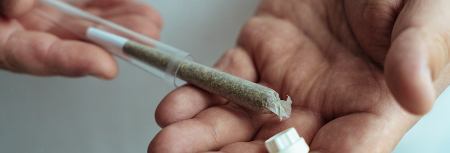 pourquoi-opter-pour-un-joint-de-cbd-pre-roule